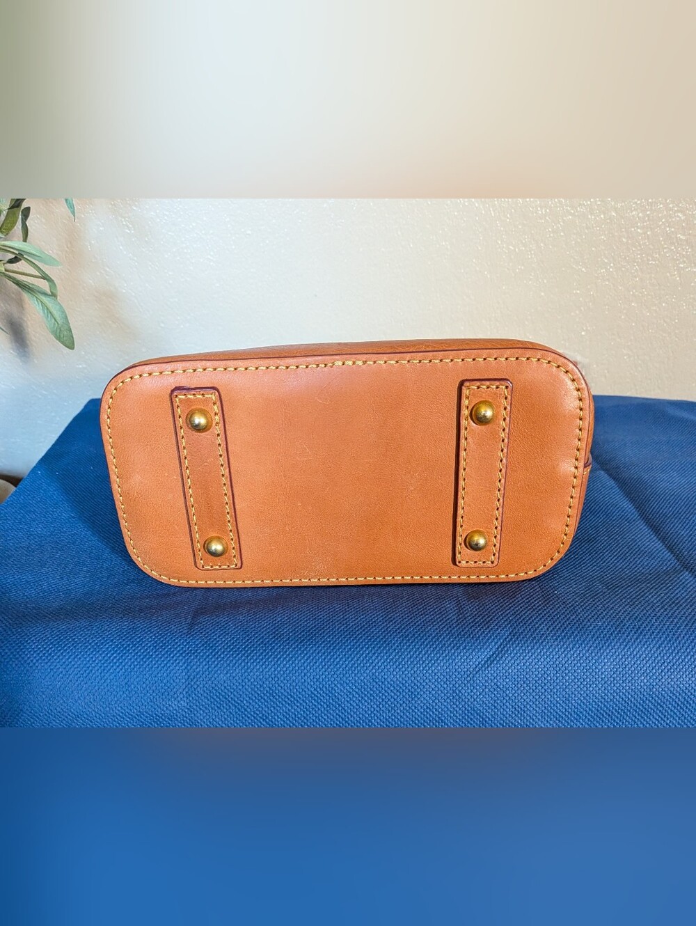 Beautiful! NWT Dooney & Bourke Florentine Domed Crossbody in NATURAL - Picture 6 of 10